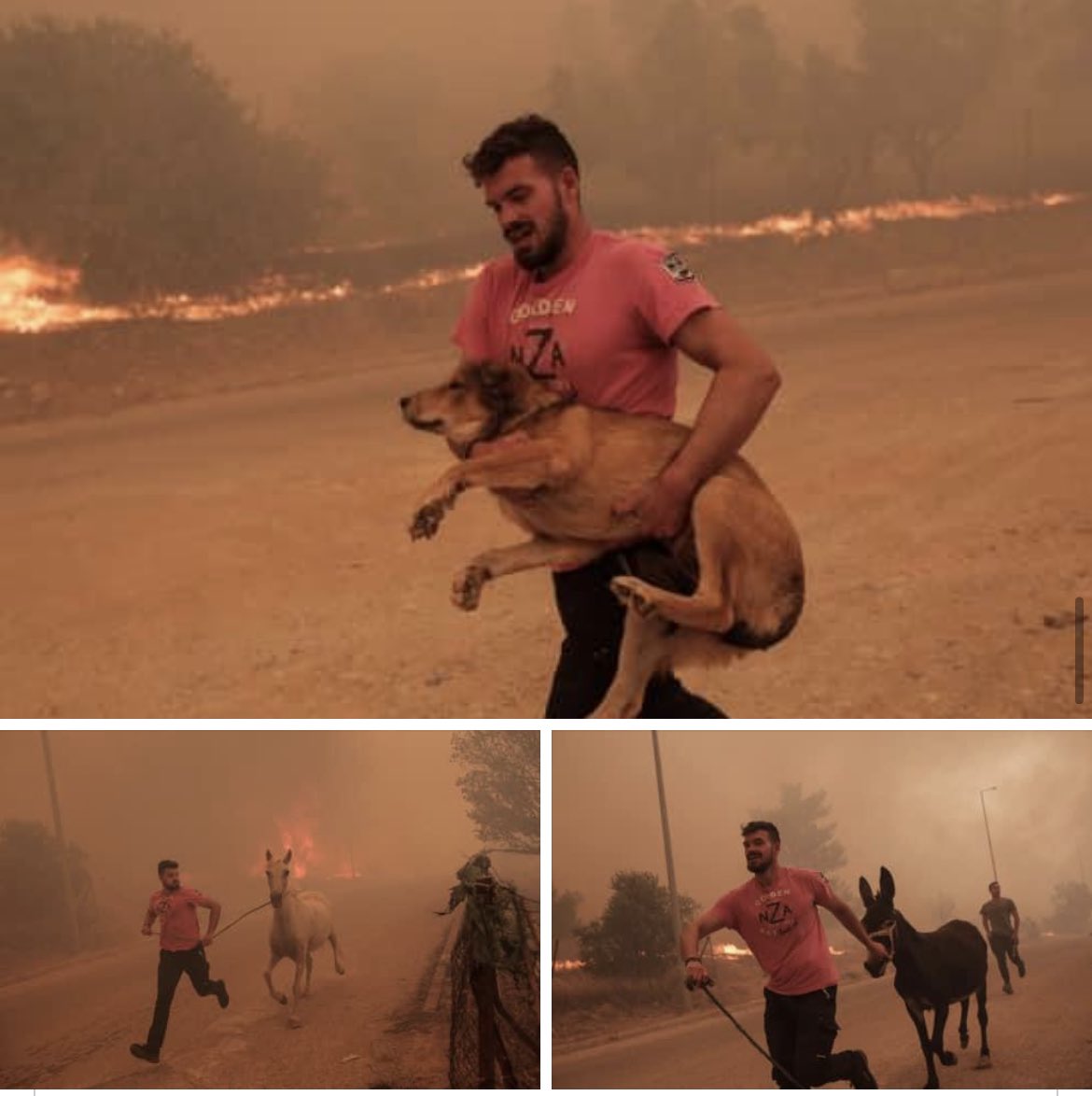 Dans les moments les plus durs, il y a toujours des gens d’exception. #feux #Grece