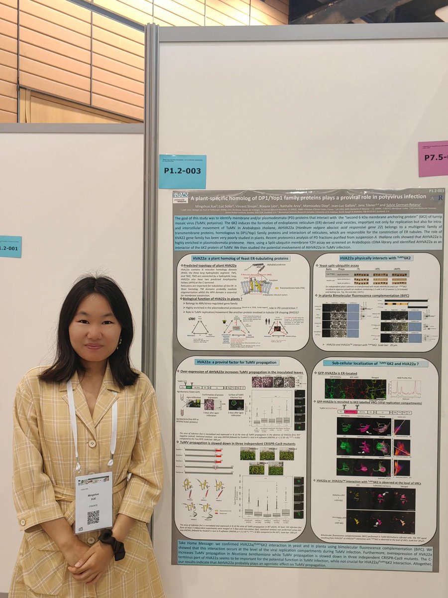 Mingshuo Xue from our Virology team is presenting her poster at #icpp2023. The proviral role of a Reep family protein: HVA22a.