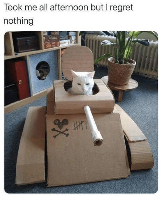 WholesomeMeme's tweet photo. https://t.co/S9PSgKeyy7