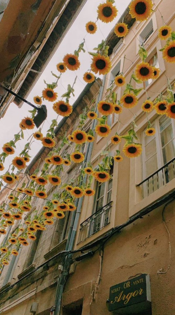 çiçek fotoğrafı bırak 📸