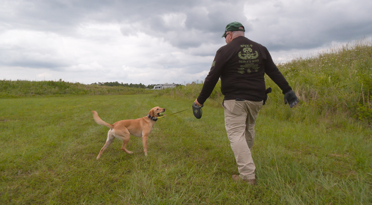 GeorgiaEMAHS's tweet photo. The GEMA/HS Explosive Ordinance Detection K-9 teams were hard at work doing scent training on Aug. 16th! These highly trained teams keep Georgians safe at special events and train regularly to keep their skills sharp. More on the story later this week! #bombdogs #homelandsecurity https://t.co/r1dVhERMXH