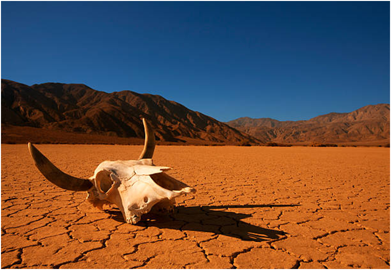 Actu Marketing: Le SEO est mort. Hourra dlvr.it/Sv1MXM