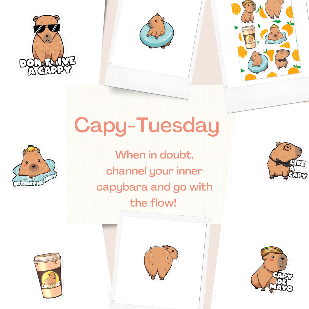 sketchipanda's tweet photo. Life's too short to not be capy-happy!
Our capybara selection will definitely cheer you up! #art #artist #instagood #photooftheday #digitalart #artistsoninstagram #sticker #stickers #stickerart #stickershop #stickeraddict #stickerlove #cuttingsticker #stickerdesign #slaps #decals https://t.co/MXUJkbiPlw