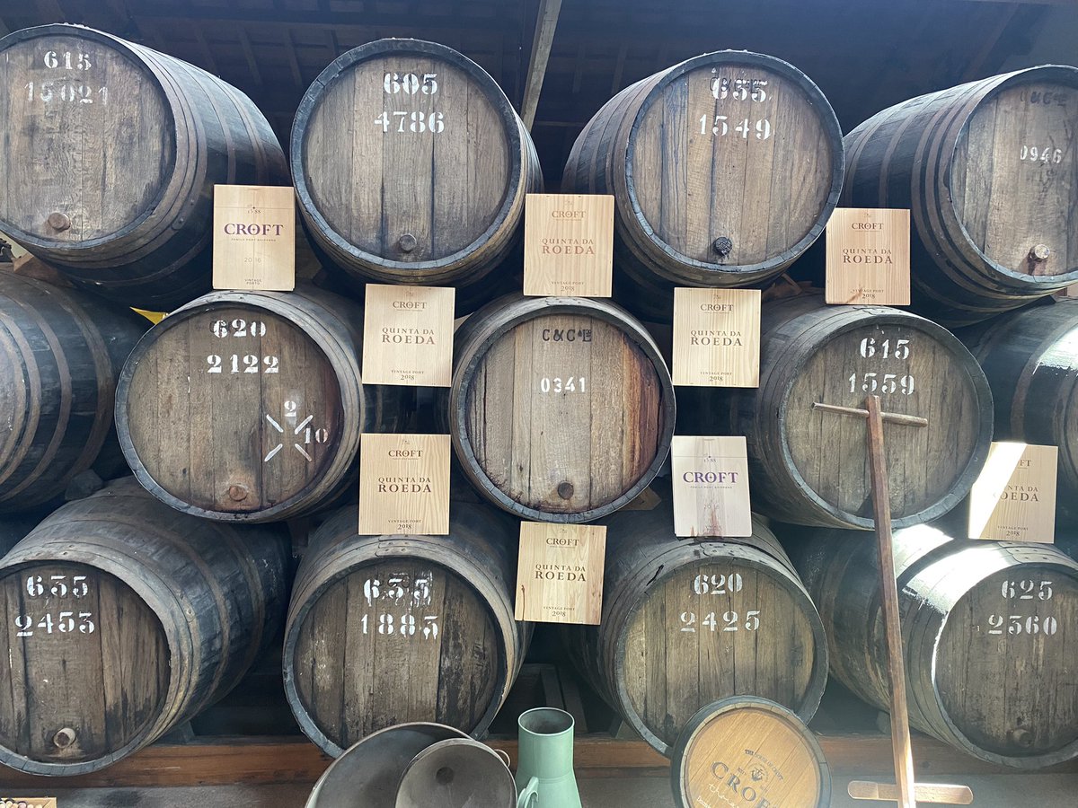 jackiemcguin's tweet photo. Day 1695 of #1700daysofwalking A baking 40 degrees in the Douro Valley so all walking was slow π₯΅ Beautiful wines and spectacular scenery #365crew https://t.co/p8o8ng7lIw