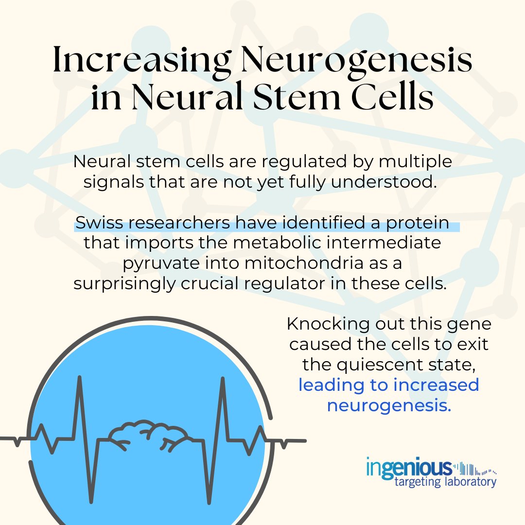 Mitochondria maintain balance between quiescence and activation in stem cells

#neurogenesis #neurogenetics #neuroplasticity #neuroscience #neurofeedback #neuralstemcells #neurwalpathways #neuroresearch #neuroscienceresearch #neuralnetworks #genetargeting #geneediting