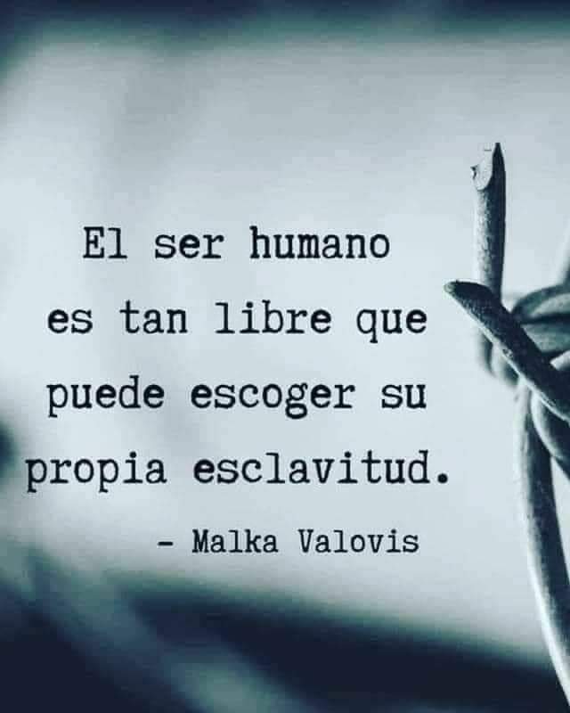 El ser humano es...