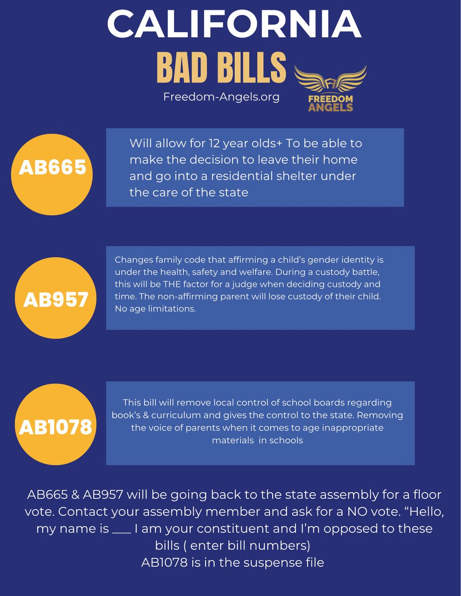 InformedMama209's tweet photo. The reason these bills pass is because nobody knows about them. Please share this on apps like next-door, Facebook, Instagram, and re-share on Twitter. We are at the end of legislative session where we have to have all hands on deck in order for legislators to be red flagged on these bad bills. Protect children & parental rights @FreedomAngels2