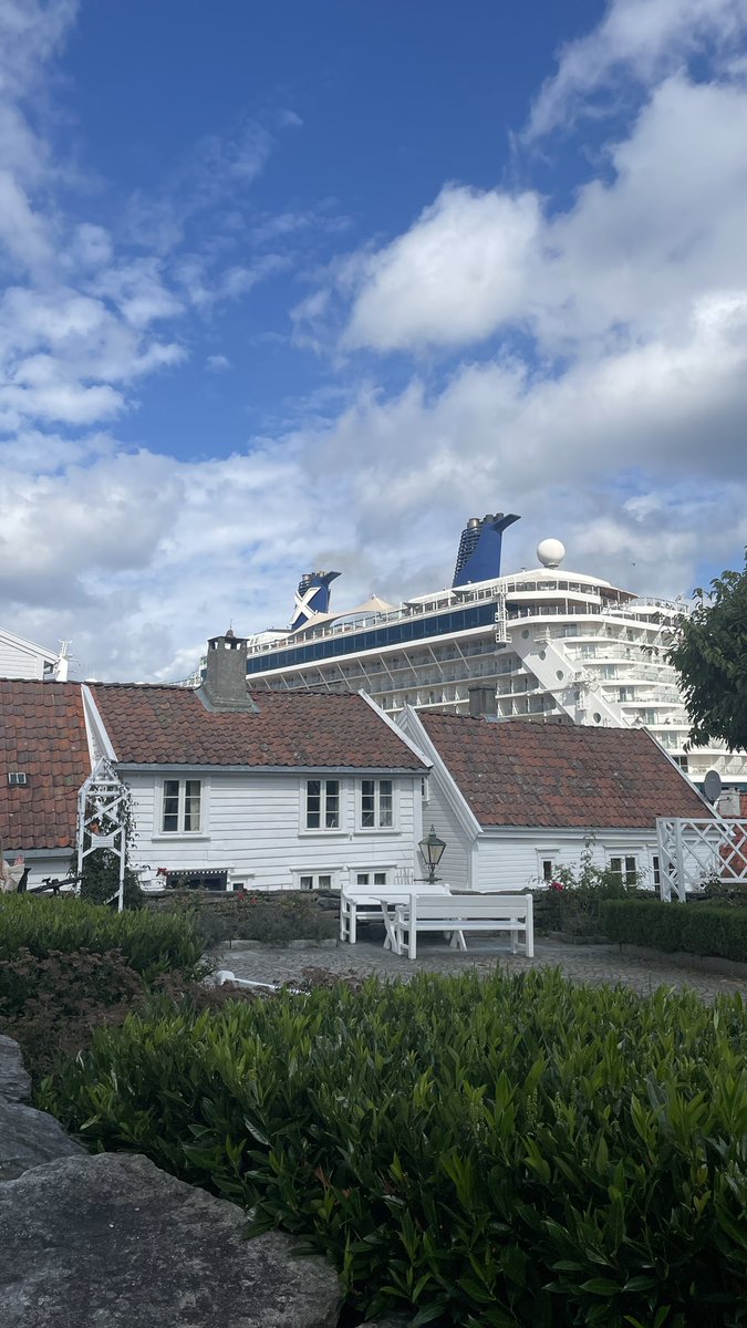 𝚂𝚝𝚎𝚙𝚑 | 𝙲𝚛𝚞𝚒𝚜𝚎 𝚆𝚒𝚝𝚑 𝙰𝚖𝚋𝚎𝚛 🛳 tweet media