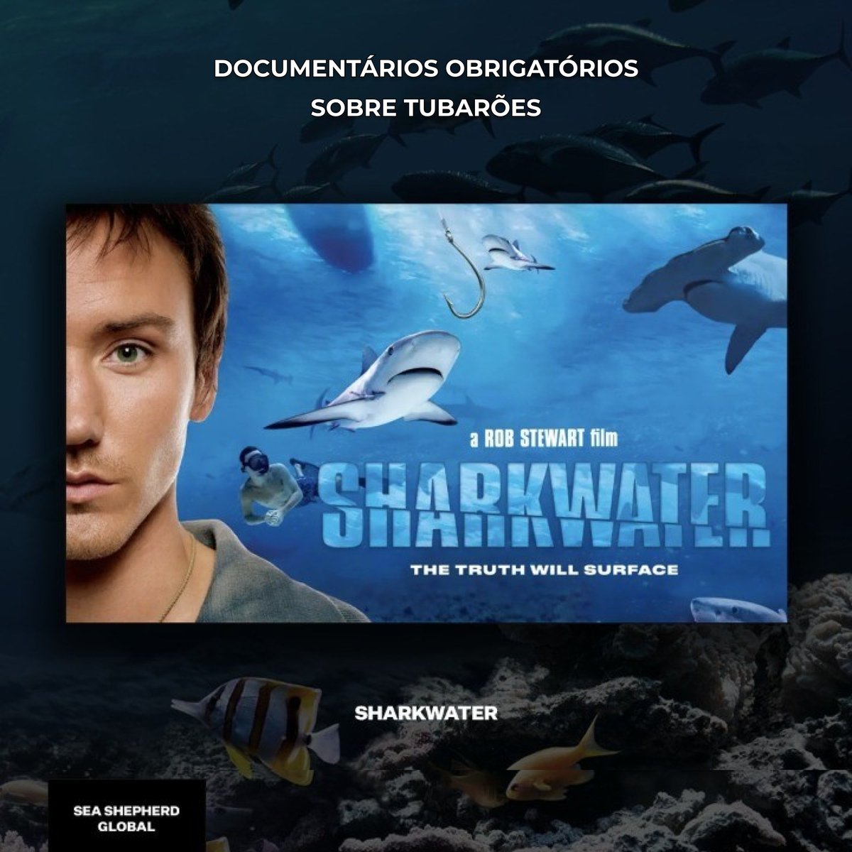 seashepherd_pt's tweet image. 4 #documentários obrigatórios para esta semana 🦈 🎬

Estes documentários não são apenas educativos mas também profundamente inspiradores e vão motivar-te a fazer parte do movimento para a preservação dos #tubarões. 

Comenta com outras recomendações de documentários 👇