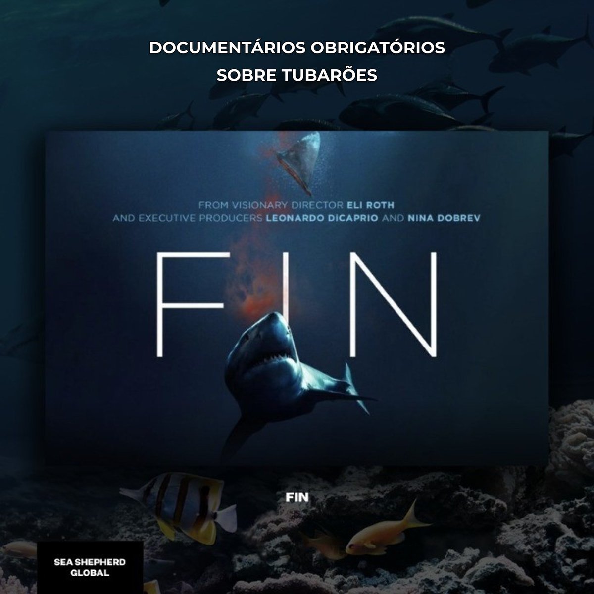 seashepherd_pt's tweet image. 4 #documentários obrigatórios para esta semana 🦈 🎬

Estes documentários não são apenas educativos mas também profundamente inspiradores e vão motivar-te a fazer parte do movimento para a preservação dos #tubarões. 

Comenta com outras recomendações de documentários 👇