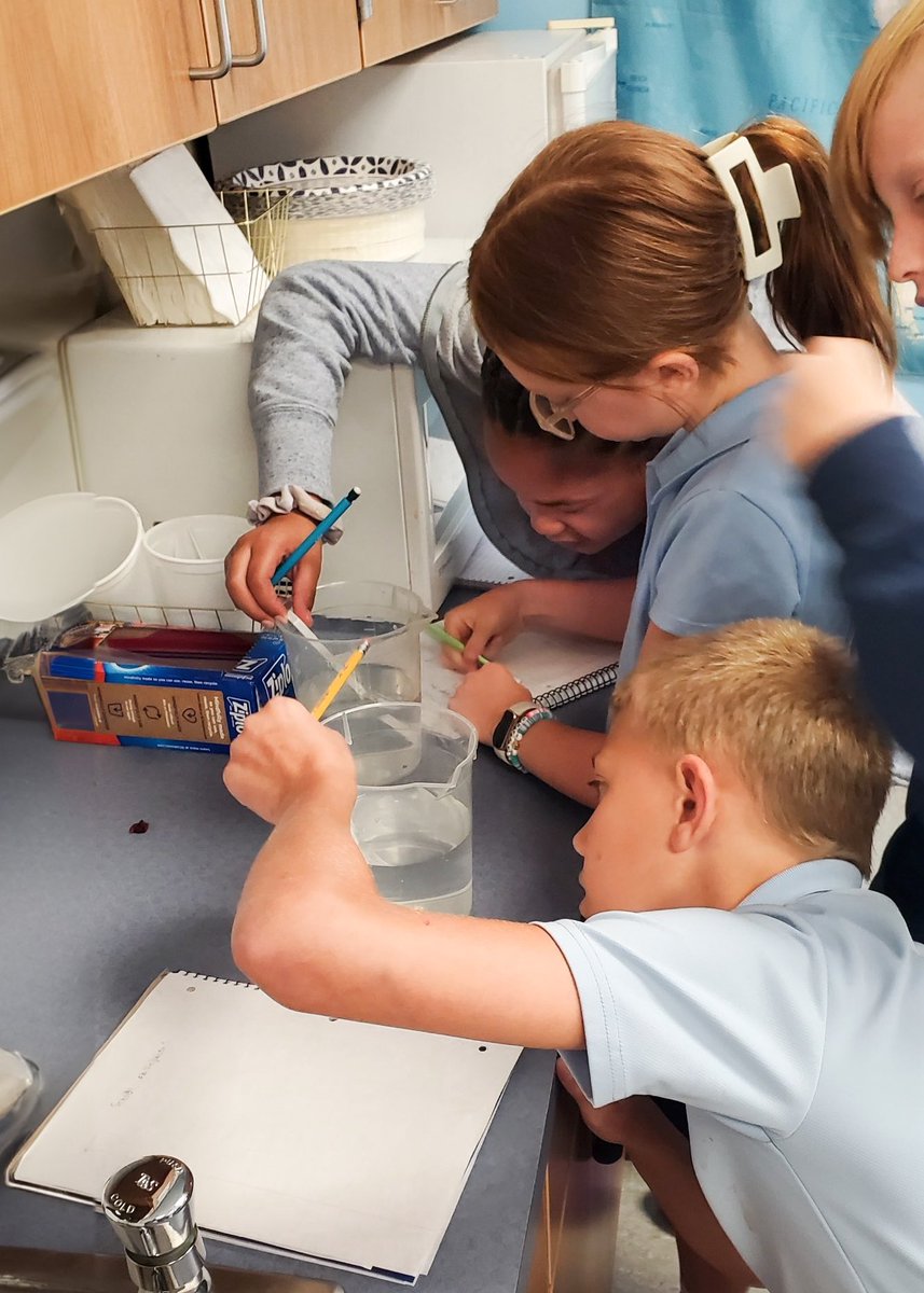 Fifth grade students in Ms. Edwards’s Science class have been practicing using tools correctly in preparation for a year of experimentation and inquiry! 

#Lincolncharterexperience #LCSstem #LCSpreparedness #wingsup