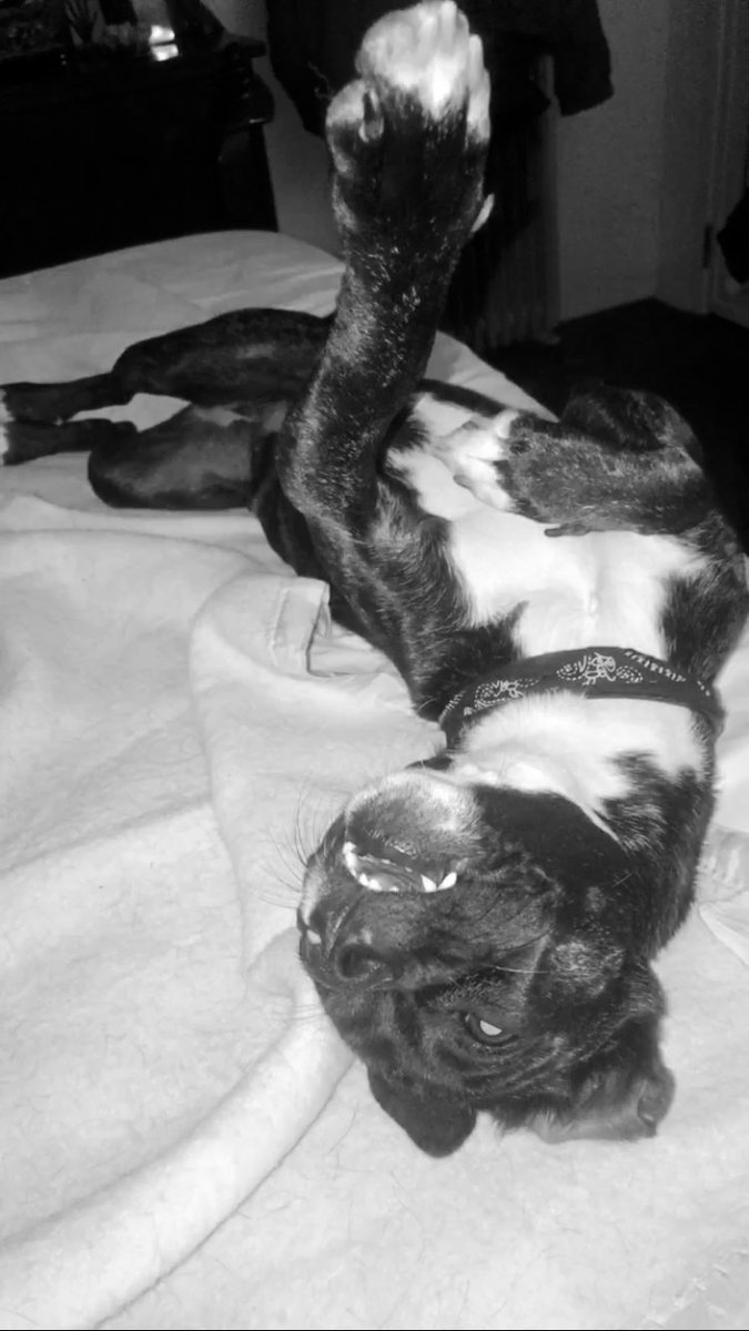 so a minha princesa msm hahaha