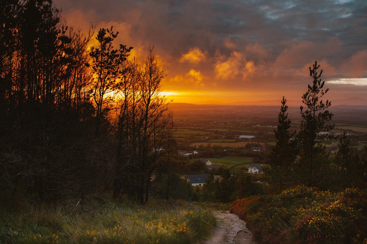 The view of County Wexford from Forth Mountain. By Ryan Devereux. #Wexford #Ireland