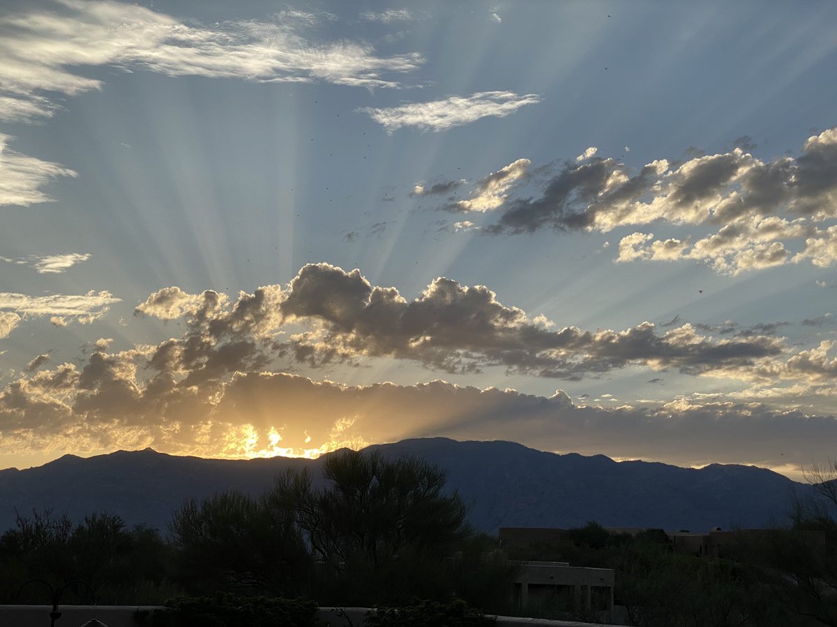 Tucson sunrise 🌺
