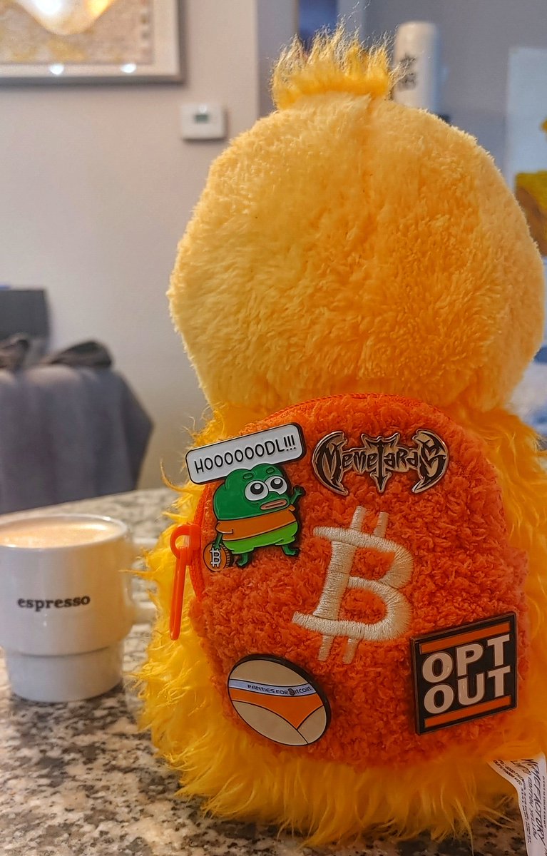 GhostOfBekka's tweet photo. There is no second best Bitcoin backpack https://t.co/hhLkWXQ9U9