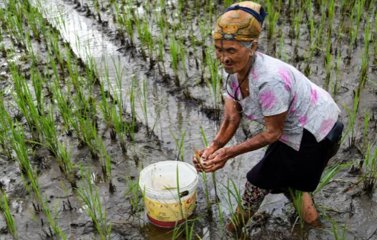 oshin_sonker's tweet photo. Calling all Changemakers! Let's Cultivate Change for Indian Farmers🌾
#CSRCommunity, let's come together to make a tangible impact in the lives of hardworking farmers.
#FarmersFirst #CSRforChange #EmpowerFarmers
@agristartups @icarindia @tatatrusts @MSDESkillIndia
@ArunachalCMO https://t.co/zQzNSM2gkM