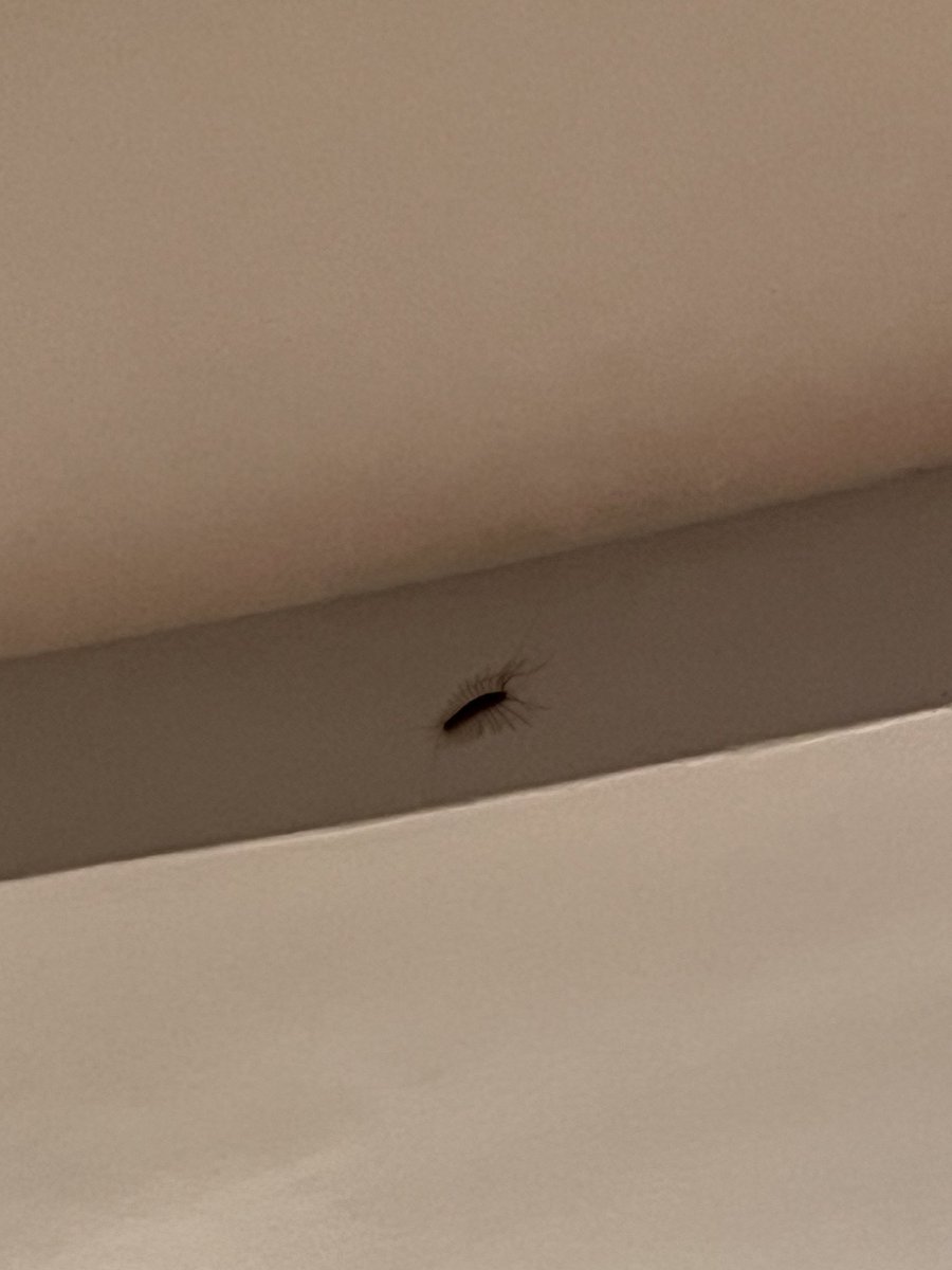 vtsyrenova's tweet photo. mf evicted entire house https://t.co/MYGWMXIaMX