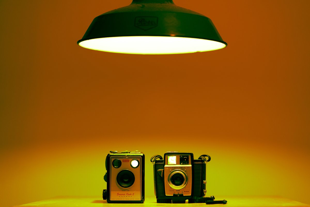 BelfastExposed's tweet photo. Want to expand your photography skills and learn to take stunning studio images like this one?
 
Book onto our next Studio Photography course, which starts on Saturday, 2nd September 👇

https://t.co/1sWlMT2ujO

Photo Credit: Paul McCarthy https://t.co/F7eTXe18dO