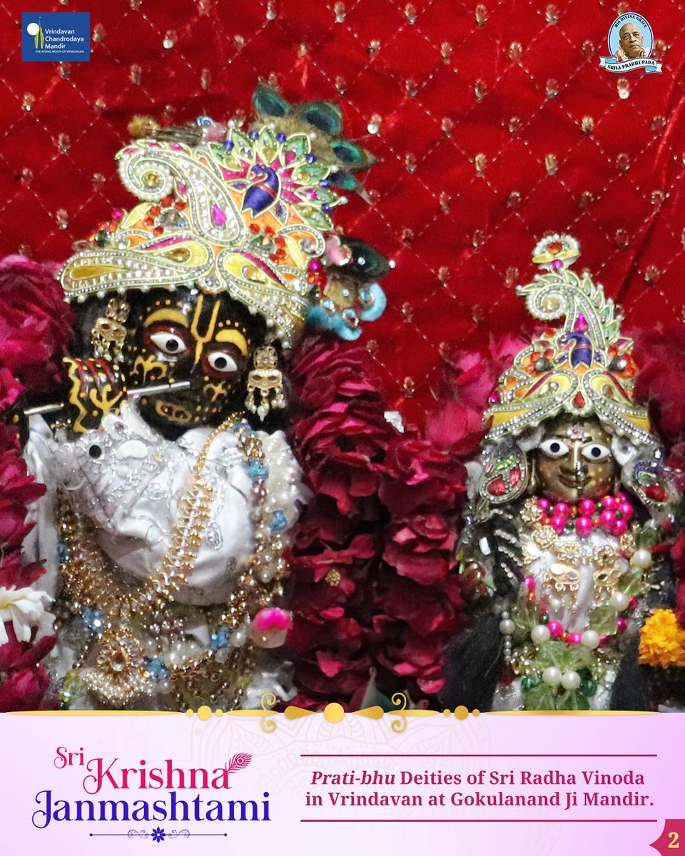 VCMVrindavan's tweet photo. Sri Radha Vinod ji
.
.
.
15 Days left for Sri Krishna Janmashtami.
.
.
.
.
#VrindavanChandrodayaMandir #Vrindavan #TallestTemple #Janmashtami #Gemsofvrindavan #ExploreBraj #RadhaVinod https://t.co/m3fJgQ8xU0