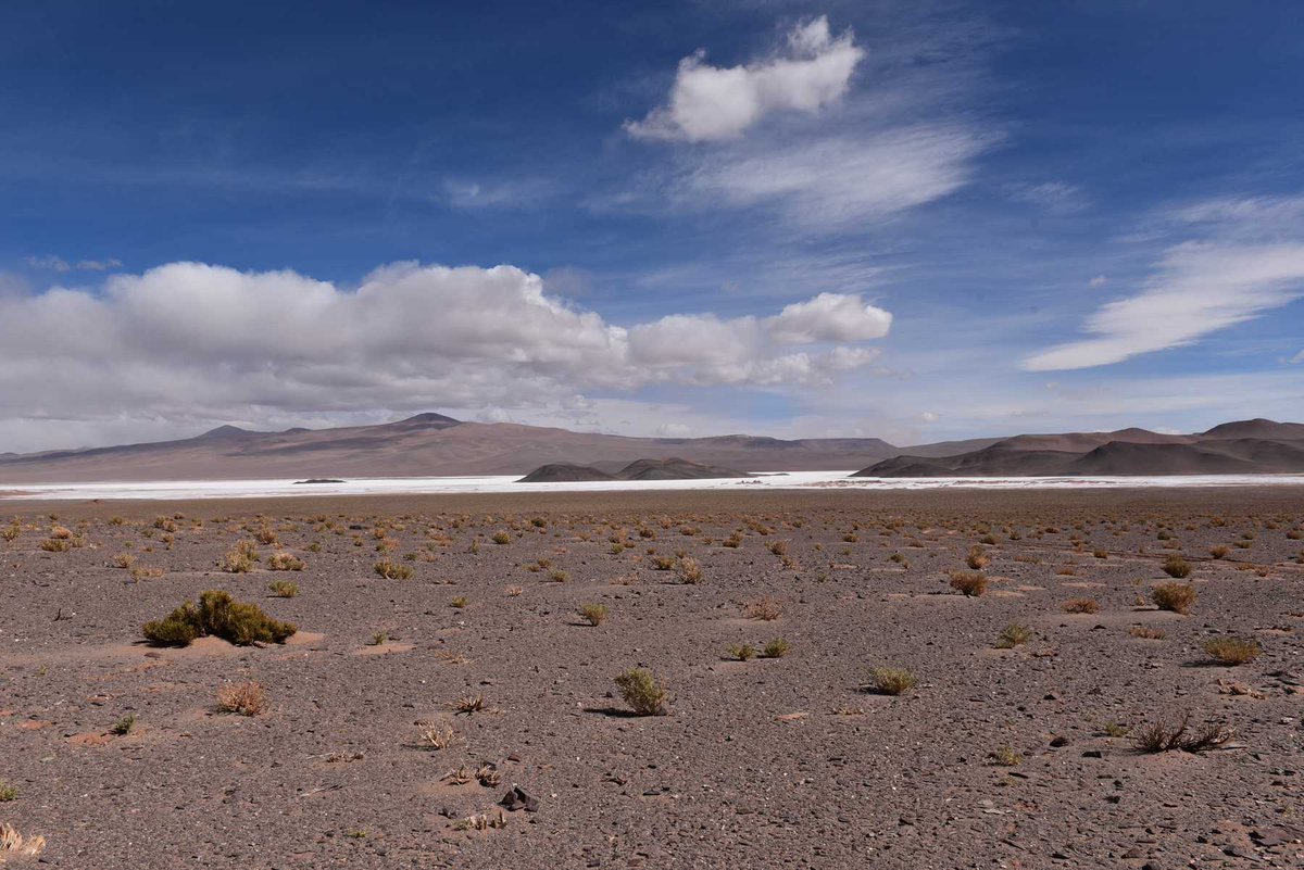 elpregonminero's tweet image. Alpha Lithium presenta una estimación de recursos mejorada para Tolillar Salar
editorialrn.com.ar/index.php?opti…
#AlphaLithium #Tolillar #Salar