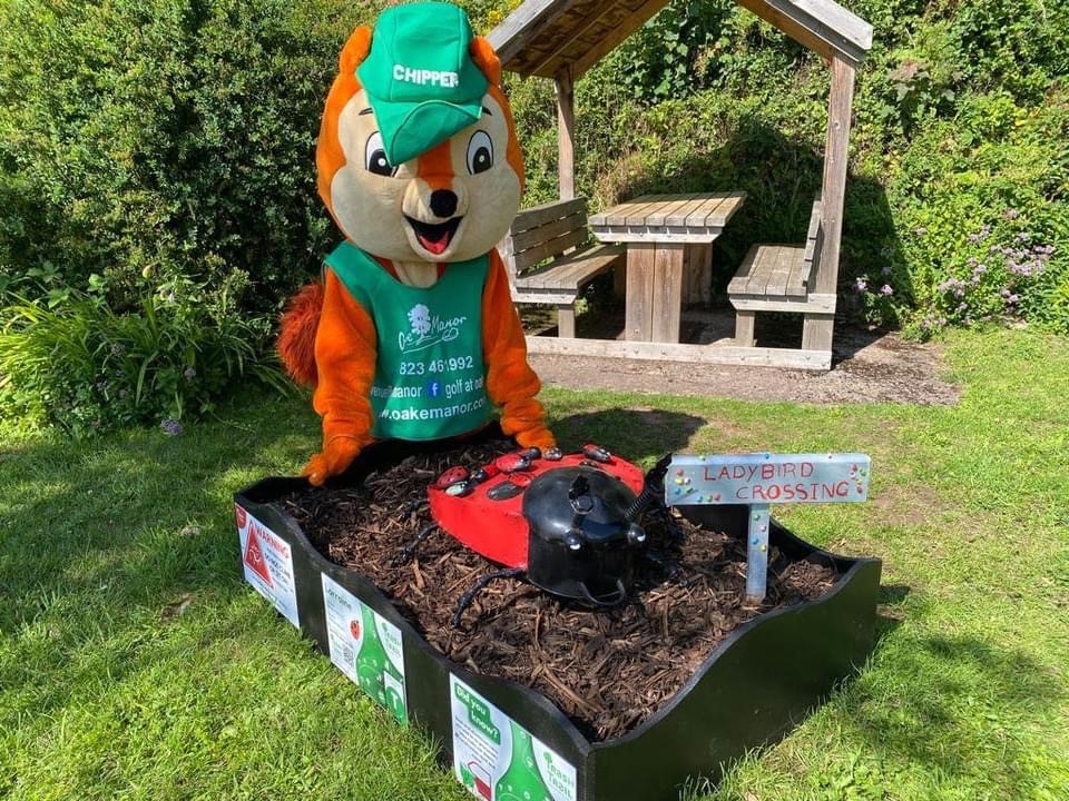 Chipper has been out and about exploring the Trash Trail including meeting Lorraine the Ladybird🐞at Stogumber Station <a href="/stogumber/">Stogumber Station</a> and Donny Rotten at Minehead Train Station 

Be sure to pop out to see Fuzzy at <a href="/OakeVenue/">Oake Manor</a>  painted by our fabulous friends <a href="/GreenDaysShop/">Green Days Day Care</a>  🌻💚