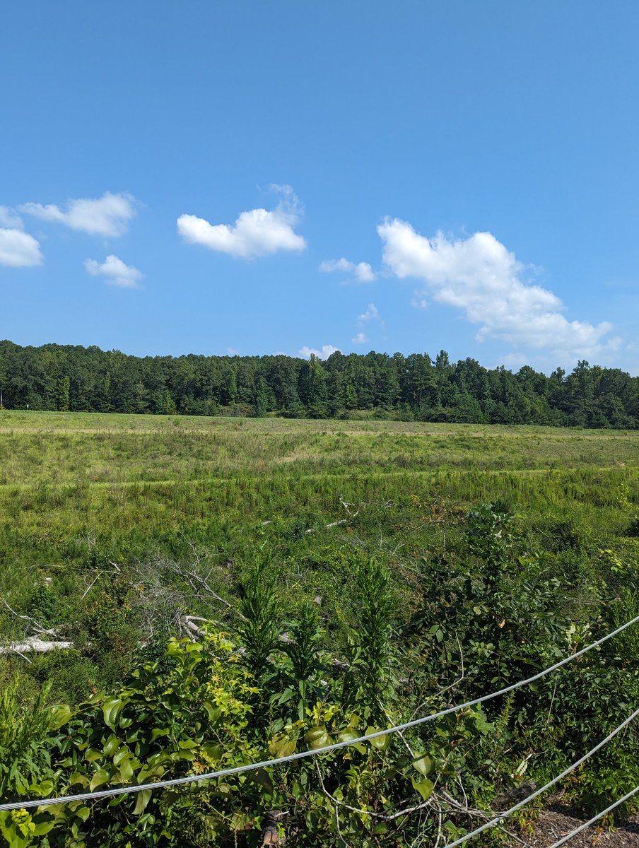 EZ Smith tweet media