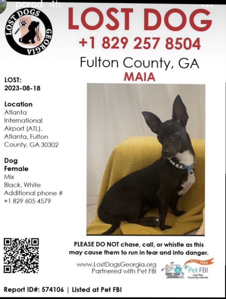 Madeline Montgomery tweet media