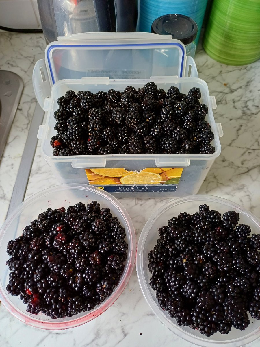 kendie's tweet photo. So I've been blackberry picking again ... jumped in my car and was heading off in search and these were picked from the end of my street. Had to go buy some more jam sugar though! #jammaking #makingjam https://t.co/2myrAQ4qoq