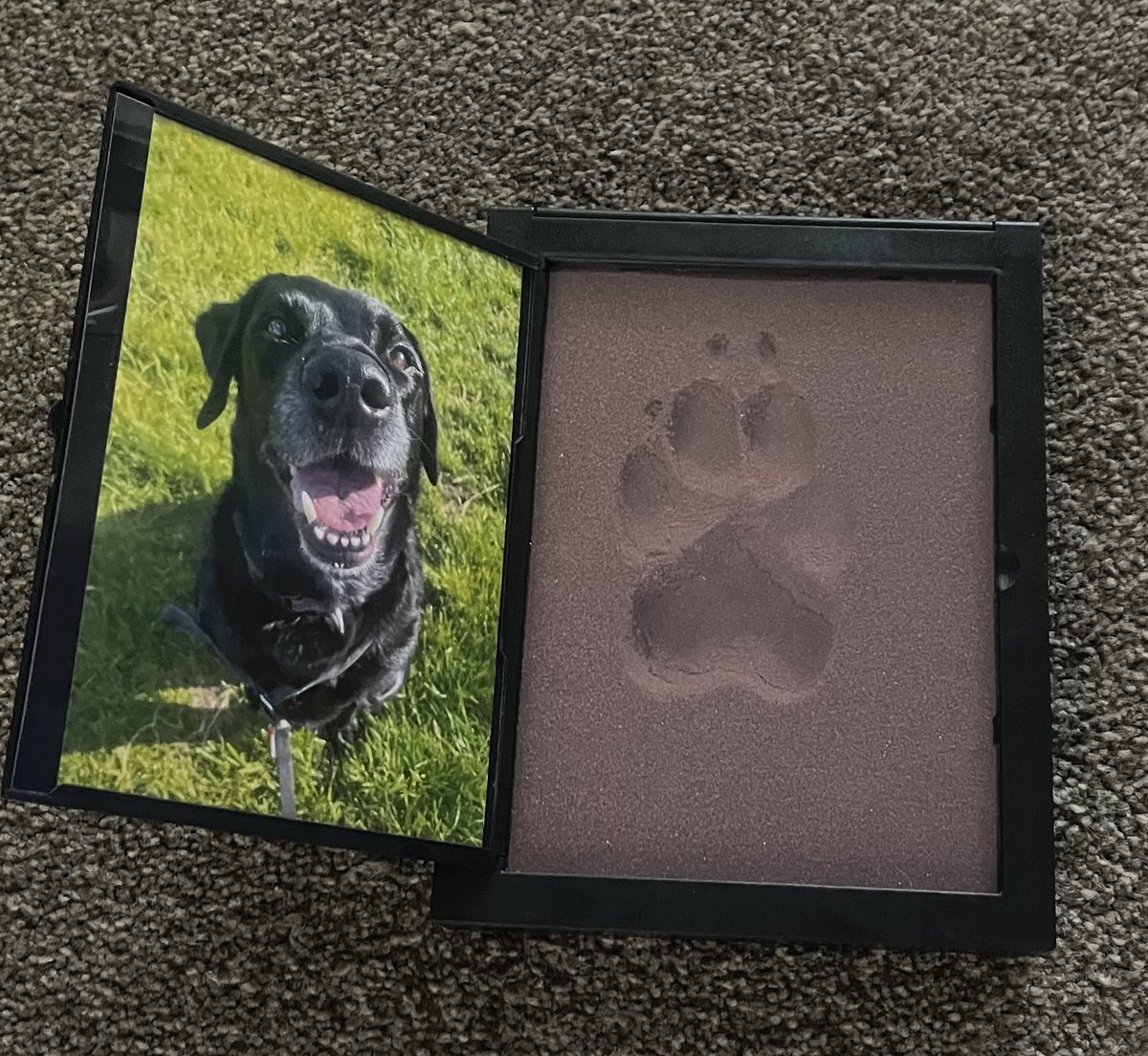 Thankyou for all your kind words & messages following our sudden loss of Max. It’s odd having 2 dogs, Oscar looking a little lost as he’s Max’s litter brother. 
The vet gave us a beautiful paw print and the picture was only taken a couple of weeks ago 🐾 
#NotJustAPet 
#RIPMax💙