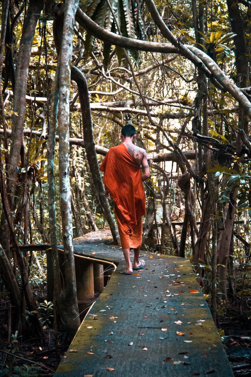 JoshBulriss's tweet photo. "The path to happiness begins with cultivating gratitude for what we have, rather than seeking fulfillment in what we lack." https://t.co/3WobWduX9I