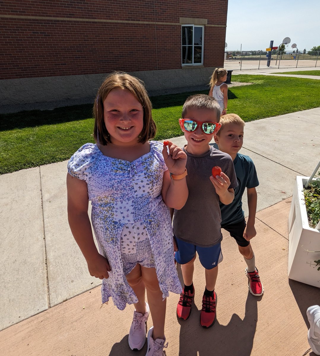 PSD_RiceElem's tweet photo. It's our first full week back in school, and we are learning that we ALL belong here at Rice. So happy to see the kids harvesting the fruits and veggies that grew from the seeds we planted in May. Some kids tried tomatoes for the first time! #RiceTogetherWeSOAR #PSDProud https://t.co/LWBkXfLrQH