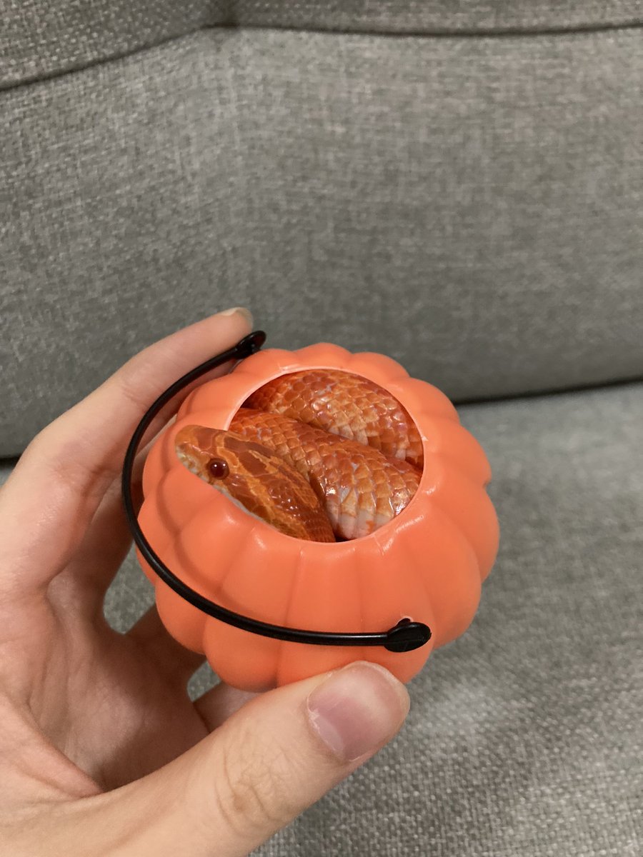 85g！現在能裝滿一桶耶（一桶