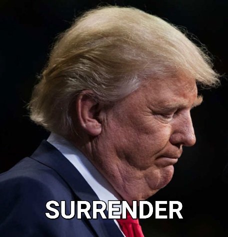 Warrior Class Liberal 🧢 tweet media