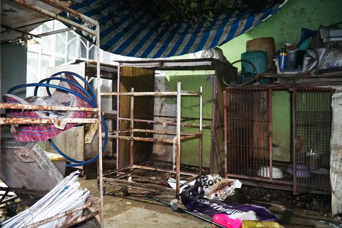 El compromiso del Presidente Municipal de Ecatepec, Fernando Vilchis, y de la Presidenta del DIF Ecatepec, Esmeralda Vallejo, con el bienestar de nuestros lomitos es vital. 

#DIFEcatepec #MunicipioConValores