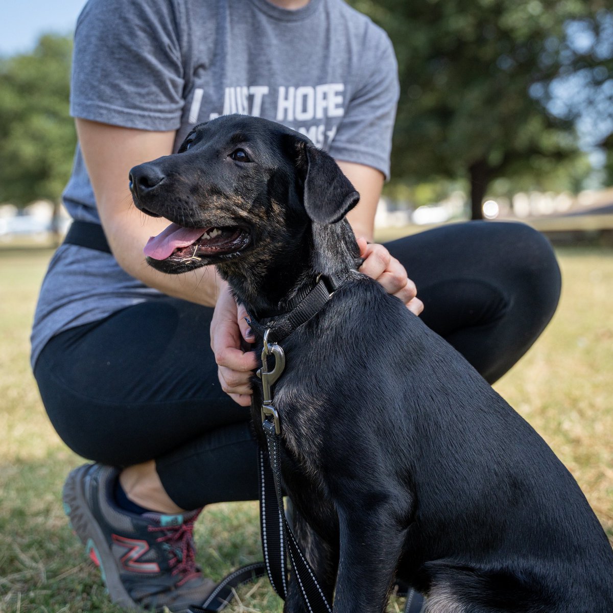 Remember Greenie? She arrived at @austinhumane with a broken jaw and needed a tape muzzle to heal properly. Well, she’s finally healed, the tape has come off, and she’s ready to be adopted ❤️‍🩹