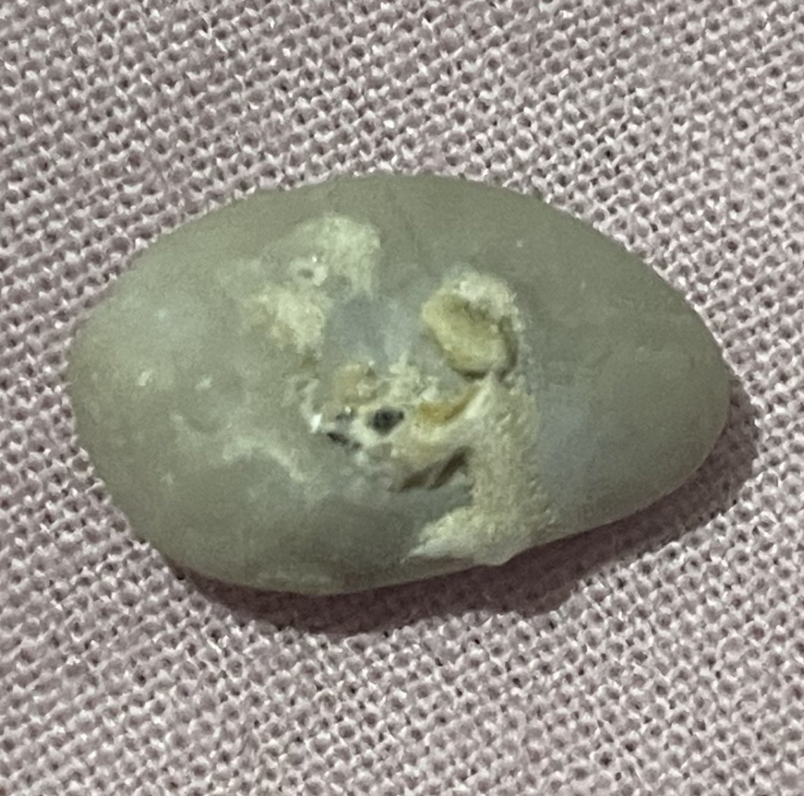Denizden eve getirdiğim taş resimli çıktı 🤩