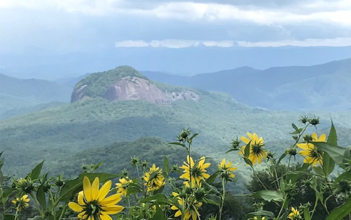 We've Had the Time of Our Lives, by <a href="/TMLDaugherty/">paul daugherty</a> open.substack.com/pub/themorning…