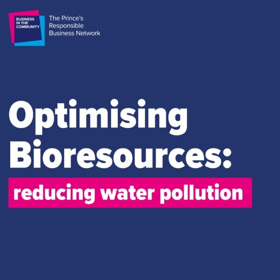 This #WorldWaterWeek let reduce pollution in our wastewater and find #circular solutions to resources in our water. 

Learn more with our new report: bitc.org.uk/report/optimis…