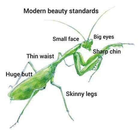 Akeem K. Duncan tweet media