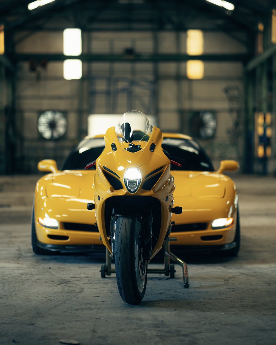 Best of both worlds 🐝