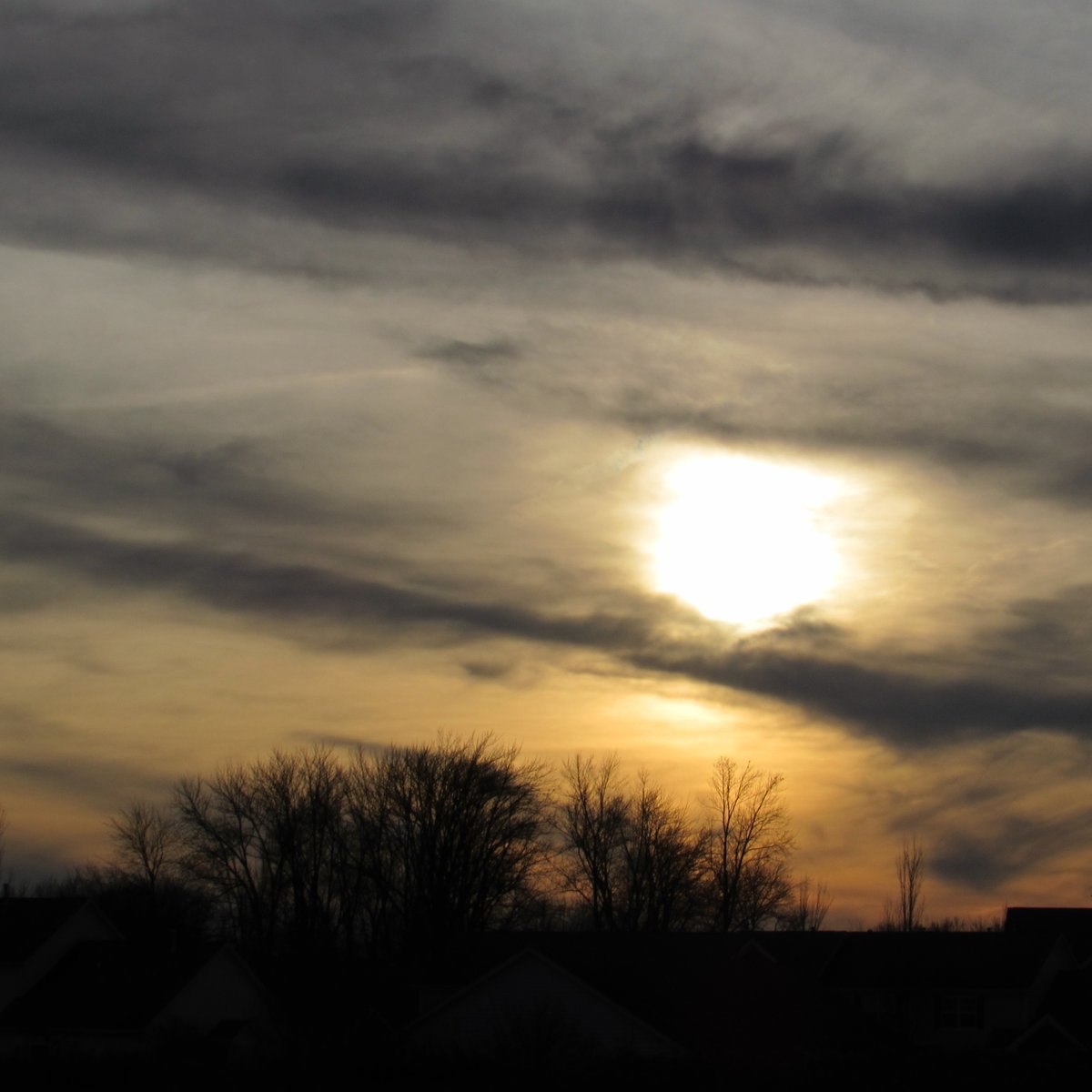 outmybackdoor7's tweet photo. Gray and white skies look dismal, but make for interesting photos. #grayandwhite #dismal #sunshine #grayskies #sunsetphotography #trees #ohio #Midwest #streaks #grayclouds #photographers #stark #outmybackdoorbydenise https://t.co/NQH3WrPwnQ
