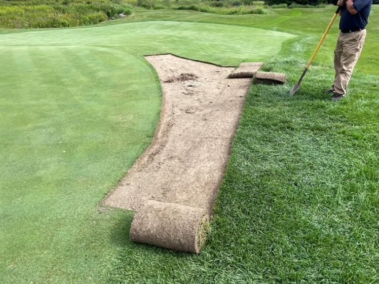 TPC Boston Agronomy tweet media