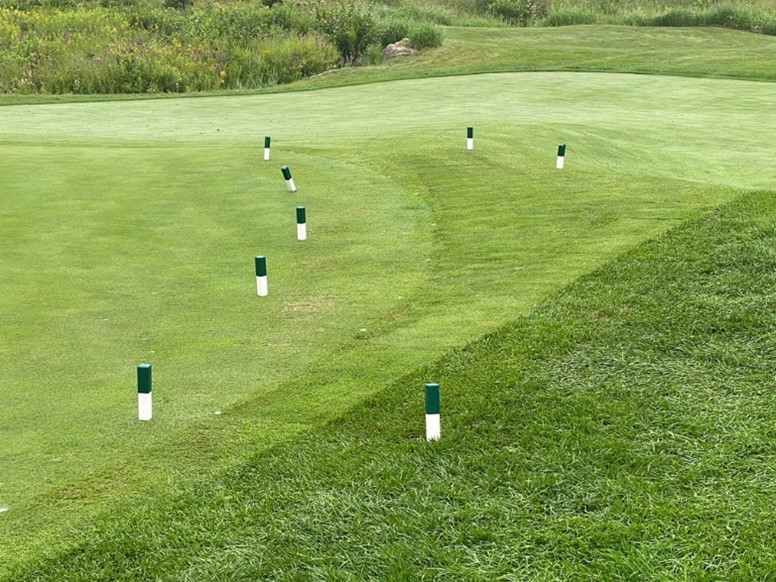 Most of our greens have been put to the test this summer with the amount of rain we have had. We have replaced areas on the edge of greens with fresh sod to keep the course looking exceptional. Holes 2, 4, 5, 8, 11, and 15 are areas of focus. Hole 3 pictured below.