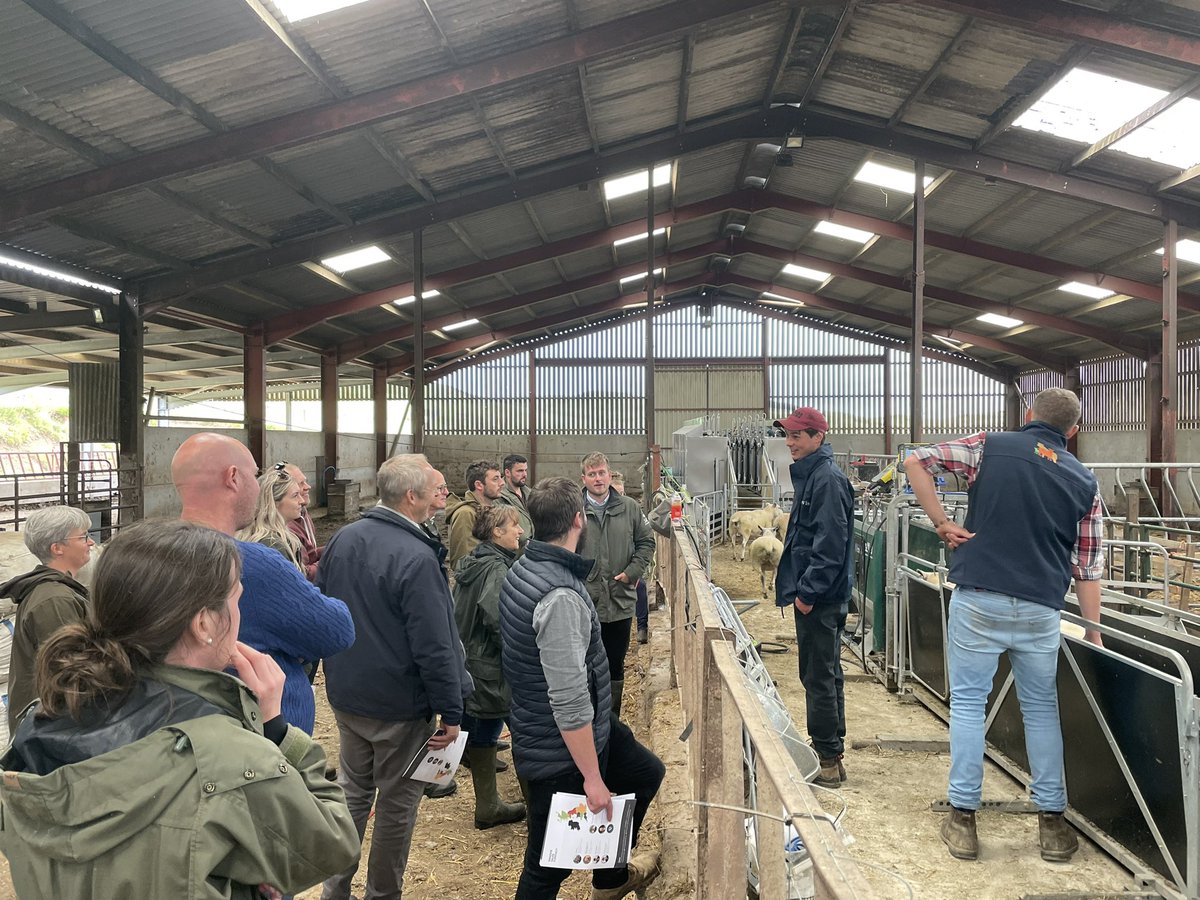 Ann McLaren (@anniemcl1) on Twitter photo Many thanks again to the team <a href="/InnovisLtd/">Innovis Ltd</a>’s Southfield farm for hosting today’s <a href="/H2020Smart/">H2020-smart</a> Demonstration day. Really interesting to see & hear about the work going in to producing their breeding stock. A variety of technologies in use for data collection & flock management. 🐏🧬 Many thanks again to the team <a href="/InnovisLtd/">Innovis Ltd</a>’s Southfield farm for hosting today’s <a href="/H2020Smart/">H2020-smart</a> Demonstration day. Really interesting to see & hear about the work going in to producing their breeding stock. A variety of technologies in use for data collection & flock management. 🐏🧬