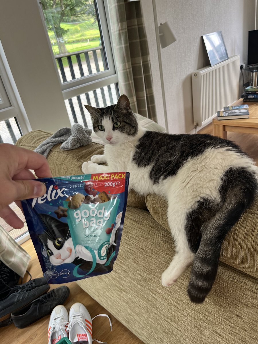 BOOSH_Dawson's tweet image. Come away for three Days and this Cat (Now called BOOSH) has spent most of the time with us 😃 
Bought some cat treats 😋
Human or Animal it’s not hard to be nice to each other 🖤👊🏻
BOOSH 😸😎👊🏻
#Benicetoeachother 
#Lovepets