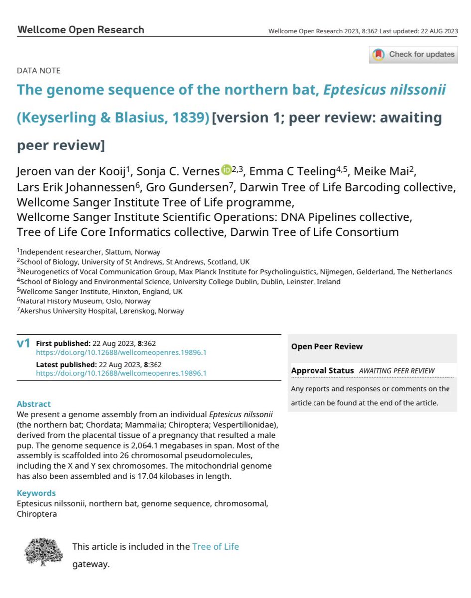 Bat1k Genome Project tweet media