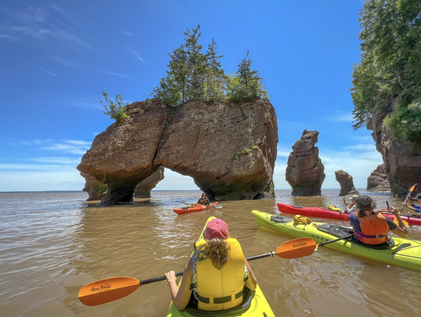 marnicpatterson's tweet photo. It’s #traveltuesday at #hopewellrocks in #newbrunswick. Took pictures of #flowerpotrocks on the beach & kayaked by them a couple hours later due to #bayoffundy tides.
#explorenb #destinationnb #newbrunswicktourism #newbrunswickcanada #travelwritersuniversity #ifwtwa1@ifwtwa1 https://t.co/HEuemxWy2I