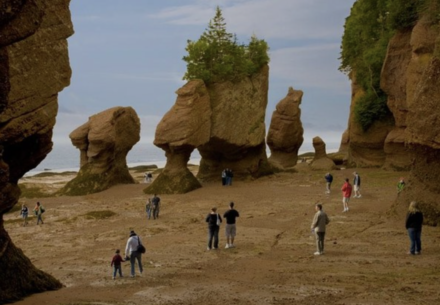 marnicpatterson's tweet photo. It’s #traveltuesday at #hopewellrocks in #newbrunswick. Took pictures of #flowerpotrocks on the beach & kayaked by them a couple hours later due to #bayoffundy tides.
#explorenb #destinationnb #newbrunswicktourism #newbrunswickcanada #travelwritersuniversity #ifwtwa1@ifwtwa1 https://t.co/HEuemxWy2I