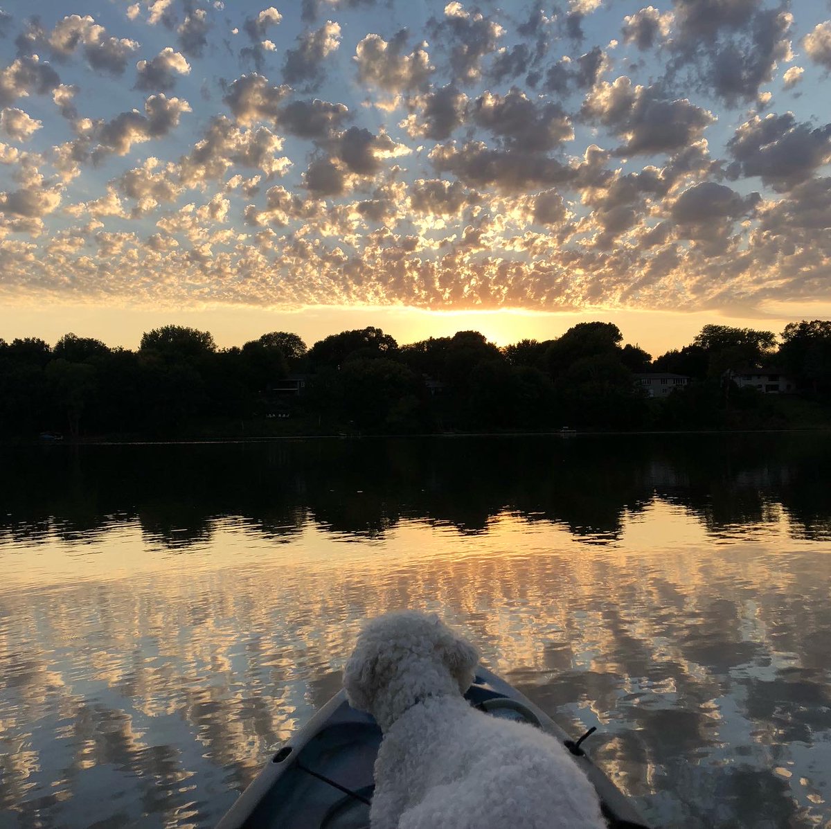 RPBCWD's tweet photo. Have you taken any photos that capture the beauty of our District's natural resources? Submit them to our photo contest for the chance to be featured in our 2024 calendar! 

Learn more at https://t.co/lGM4Gdg3Jl.

Photo by Pat Beierwaltes, Red Rock Lake. https://t.co/yiWTh9ydWm