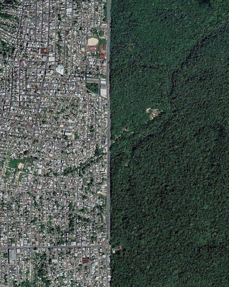 choquei's tweet image. 🚨VEJA: Manaus e a sua divisão com a floresta amazônica vista de cima.